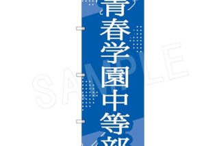 ミュージカルテニスの王子様4thシーズン ビッグのぼり 青学(せいがく)vs立海 青春学園中等部 アニメイトで2024年07月発売