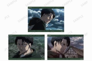 進撃の巨人 リヴァイ 場面写ブロマイド3枚セット
 アニメイトで
2024/09/17 発売