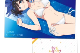 彼女、お借りします クリアファイルH
 アニメイトで
2024年08月発売