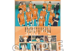 【再販】ハイキュー!! 思い出パネル 烏野高校                     ホビーストックで2024年9月発売