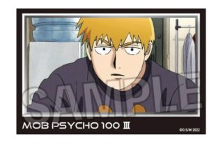 モブサイコ100 Ⅲ 積み積みブロック vol.2 4
 アニメイトで
2024年09月発売