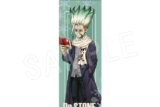 Dr.STONE ハーフタペストリー 冬の待ち合わせVer. 石神千空
 アニメイトで
2024年09月発売