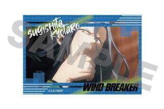 TVアニメ『WIND BREAKER』 サインマグネット G
 アニメイトで
2024年09月下旬発売