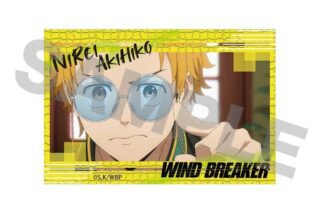 TVアニメ『WIND BREAKER』 サインマグネット D
 アニメイトで
2024年09月下旬発売