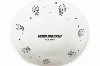 WIND BREAKER ラーメンどんぶり ぷちきゅんver. ぷちきゅんシリーズ                     ホビーストックで2024年9月発売