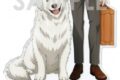 ブルーロック アクリルスタンド ～With Dog～ 5.糸師 凛
 アニメイトで
2024年12月発売