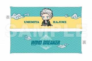 WIND BREAKER アームレスト 梅宮一 ぷちきゅんシリーズ                     ホビーストックで2024年9月発売