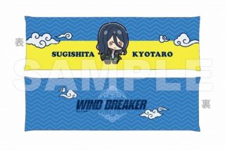 WIND BREAKER アームレスト 杉下京太郎 ぷちきゅんシリーズ                     ホビーストックで2024年9月発売