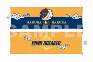 WIND BREAKER アームレスト 桜遥 ぷちきゅんシリーズ                     ホビーストックで2024年9月発売