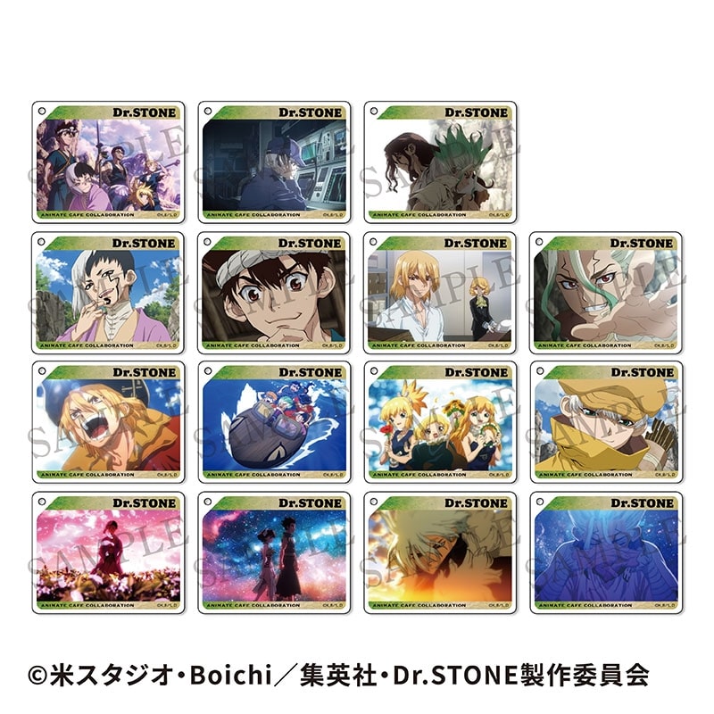 TVアニメ『Dr.STONE』 CoLotta トレーディングアクリルプレートキーホルダー【アニメイトカフェ】
 アニメイトで
2024年09月下旬発売