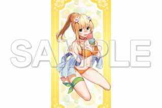 この素晴らしい世界に祝福を! ～Summer festa～ ビッグタペストリー ダクネス
 アニメイトで
2024/12/10 発売