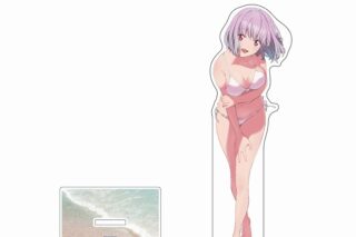 グリッドマンユニバース 描き下ろし特大アクリルスタンド(新条アカネ/水着)
 
2024年12月発売