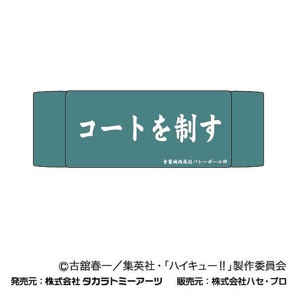 ハイキュー!! ヘアバンド 02青葉城西高校
 
2024年12月発売
で取扱中