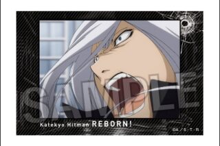 家庭教師ヒットマンREBORN! 積み積みブロック 17
 アニメイトで
2024年12月発売