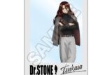 Dr.STONE Monotone Street キャラPic 獅子王司
 アニメイトで
2024年12月発売