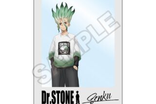 Dr.STONE Monotone Street キャラPic 石神千空
 アニメイトで
2024年12月発売