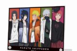 NARUTO-ナルト- arti-mate A5アクリルパネル 集合 描き下ろし 私服ver.
 アニメイトで
2025/03/18 発売