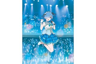 リゼロ タペストリー/レム
 
2024年12月7日発売