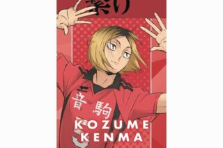 ハイキュー!! 10th Anniversary ステッカー 孤爪研磨
 
2025年01月下旬発売
で取扱中