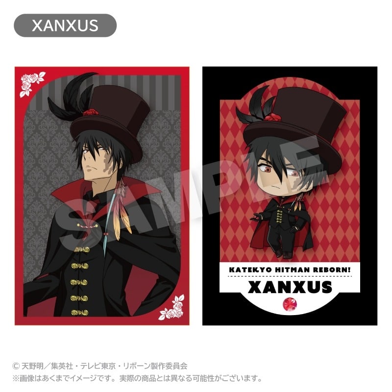 家庭教師ヒットマンREBORN! ポストカードセット 怪盗団ver. XANXUS
 アニメイトで
2025年01月発売