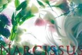 Rayflower/Narcissus
 アニメイトで2014/02/19 発売