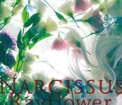 Rayflower/Narcissus
 アニメイトで2014/02/19 発売