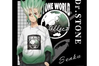 Dr.STONE Monotone Street ステッカー 石神千空 キャラアニで
                                                2024年12月発売