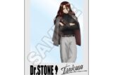 Dr.STONE Monotone Street キャラPic 獅子王司 キャラアニで
                                                2024年12月発売