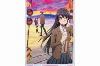 青春ブタ野郎はランドセルガールの夢を見ない キービジュアル BIGアクリルスタンド【再販】
 
2025年4月7日発売
で取扱中