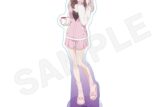 2.5次元の誘惑 BIGアクリルスタンド 着ぐるみパジャマver. 橘美花莉
 
2025年01月発売