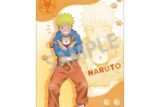 NARUTO-ナルト- B2タペストリー うずまきナルト/少年期×アニマル
 アニメイトで
02月発売