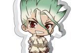 Dr.STONE 厚みアクリルスタンド 石神千空
 アニメイトで
2025年02月中旬発売