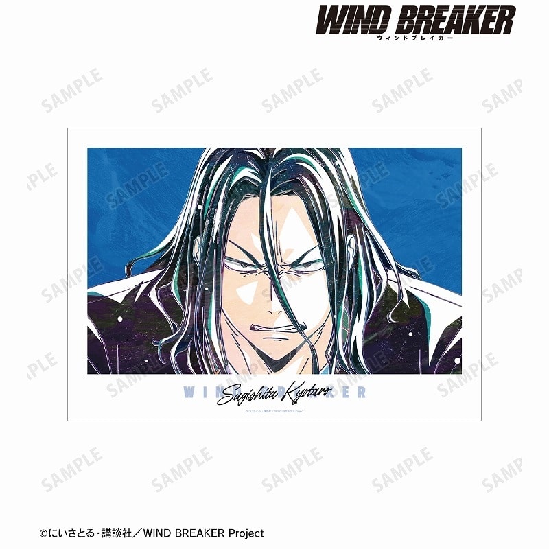 TVアニメ『WIND BREAKER』 杉下 京太郎 Ani-Art A3マット加工ポスター
 アニメイトで
2025/03/27 発売