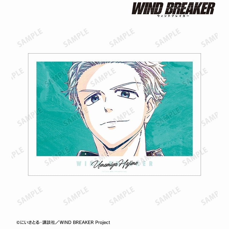 TVアニメ『WIND BREAKER』 梅宮 一 Ani-Art A3マット加工ポスター
 アニメイトで
2025/03/27 発売