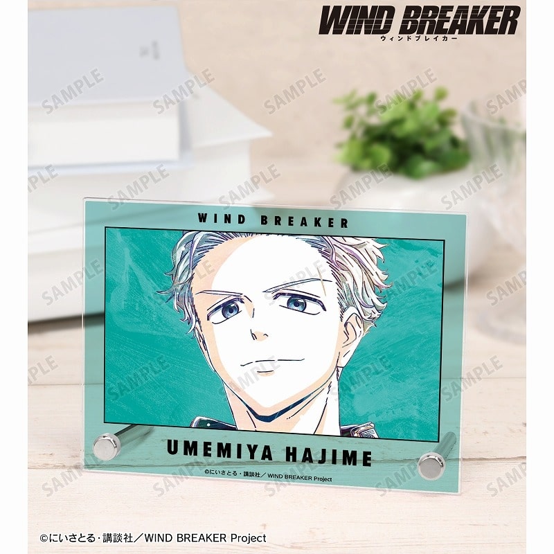 TVアニメ『WIND BREAKER』 梅宮 一 Ani-Art A6アクリルパネル
 アニメイトで
2025/03/27 発売