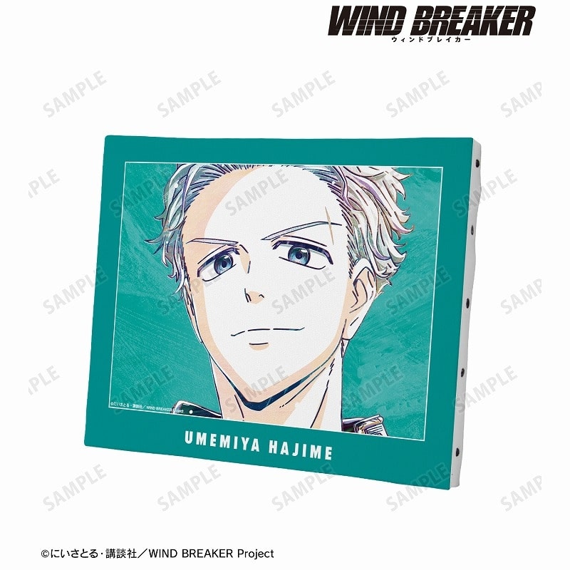 TVアニメ『WIND BREAKER』 梅宮 一 Ani-Art キャンバスボード
 アニメイトで
2025/03/27 発売