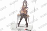 『青春ブタ野郎』シリーズ A6マルチスタンド
 
2025年3月10日発売
で取扱中