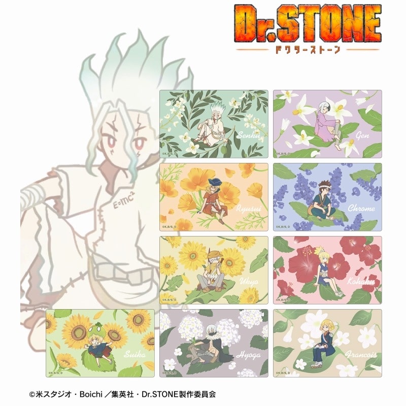 Dr.STONE トレーディング Botania カードステッカー
 アニメイトで
2025/04/17 発売