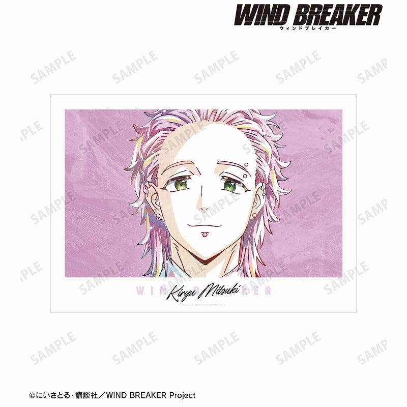 TVアニメ『WIND BREAKER』 桐生 三輝 Ani-Art A3マット加工ポスター
 アニメイトで
2025/03/27 発売