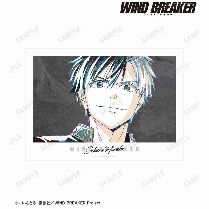 TVアニメ『WIND BREAKER』 桜 遥 Ani-Art A3マット加工ポスター
 アニメイトで
2025/03/27 発売