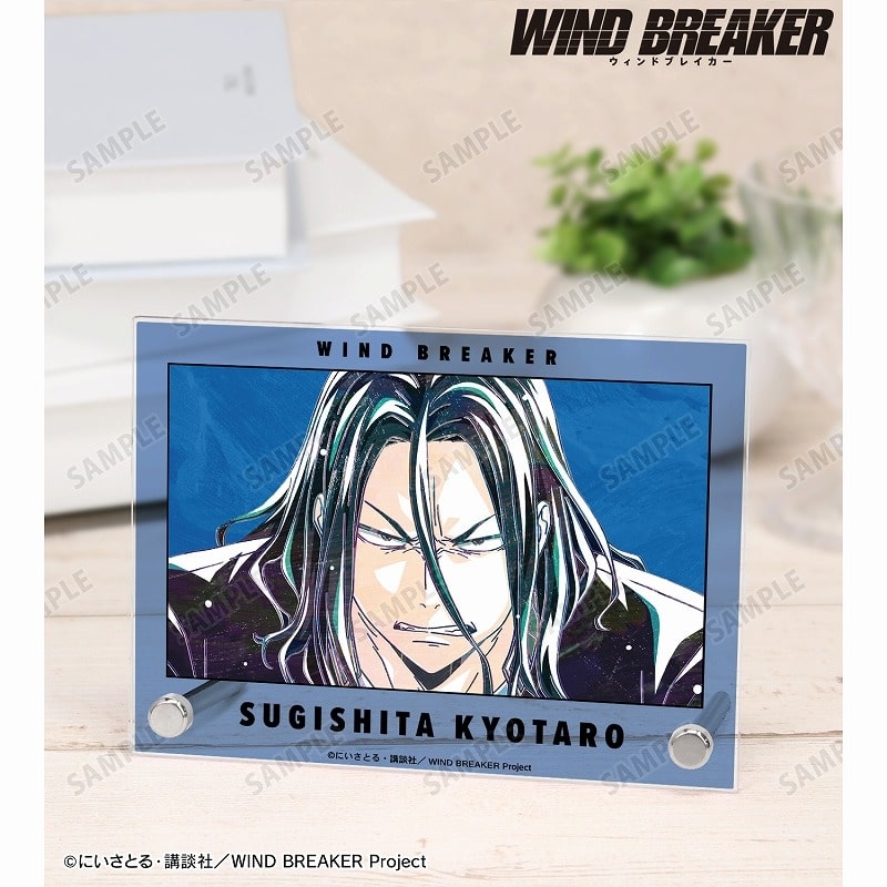 TVアニメ『WIND BREAKER』 杉下 京太郎 Ani-Art A6アクリルパネル
 アニメイトで
2025/03/27 発売