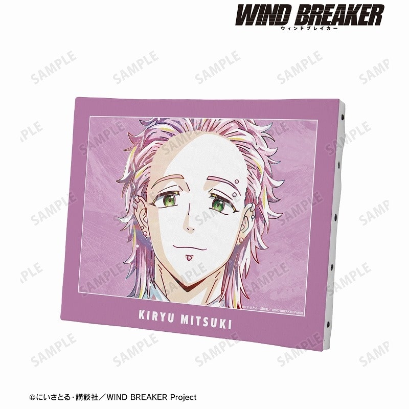 TVアニメ『WIND BREAKER』 桐生 三輝 Ani-Art キャンバスボード
 アニメイトで
2025/03/27 発売