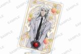 文豪ストレイドッグス アクリルスタンド DEAD APPLE ver. 澁澤龍彦
 アニメイトで
2025/03/28 発売