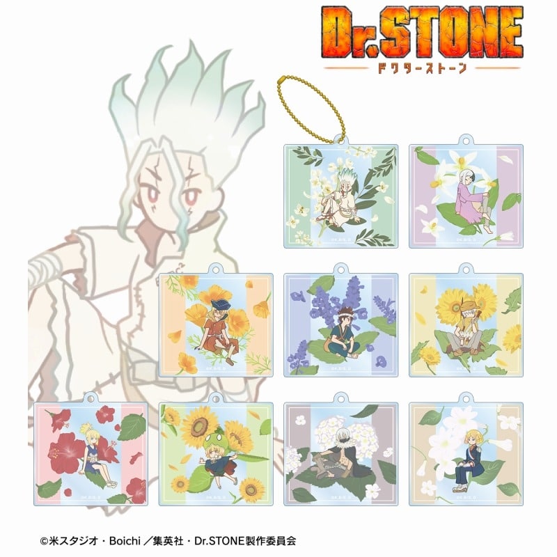 Dr.STONE トレーディング Botania アクリルキーホルダー
 アニメイトで
2025/04/27 発売