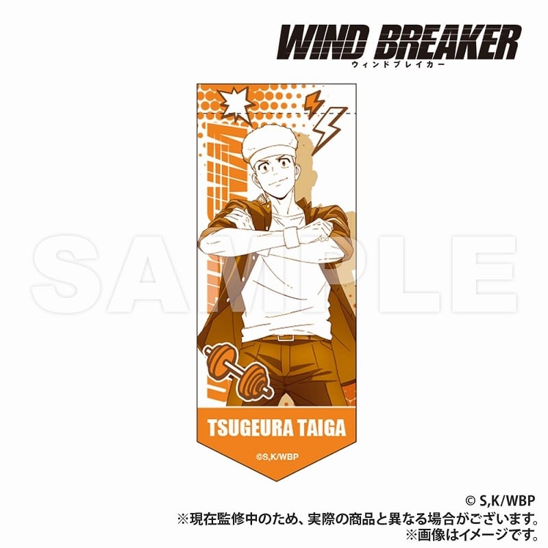 WIND BREAKER ミニガーランドキーホルダー 柘浦
 アニメイトで
2025年05月下旬発売