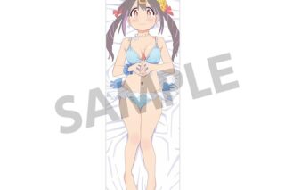 お兄ちゃんはおしまい! 描き下ろしスリムタペストリー 緒山みはり 水着 ver. A
 アニメイトで
2025年03月発売