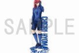 [アニメイト]ブルーロック 日本フットボール連合 商品販売部 アクリルスタンド シリーズ1 千切 豹馬
 
2025年3月27日発売