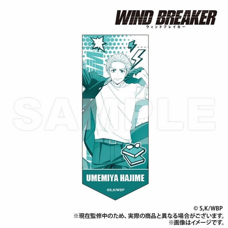 WIND BREAKER ミニガーランドキーホルダー 梅宮
 アニメイトで
2025年05月下旬発売