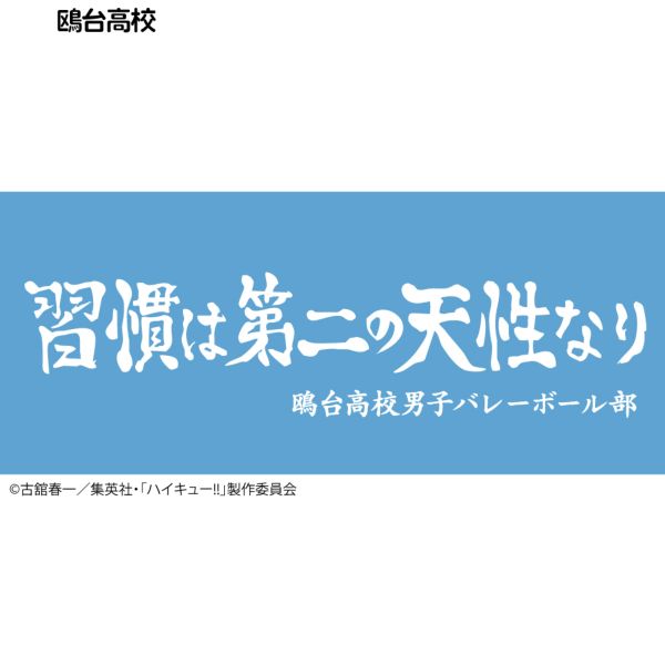 ハイキュー!! 横断幕スポーツタオル 鴎台高校 キャラアニで
                                                2025年4月発売