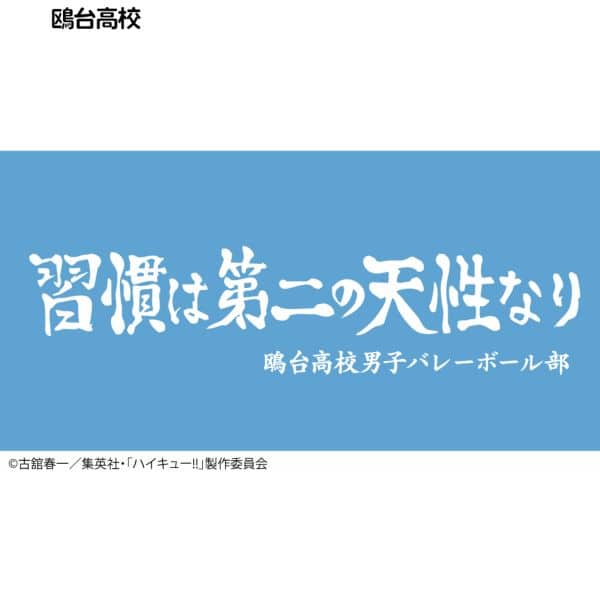 ハイキュー!! 横断幕バスタオル 鴎台高校 キャラアニで
                                                2025年4月発売